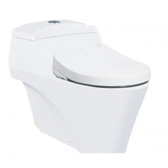 Bồn cầu 1 khối điện tử TOTO CW823NW_FW4 nắp rửa washlet TCF4731A