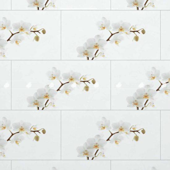 Gạch Ceramic hoa lá trang trí 40x80 màu trắng men bóng Đồng Tâm D4080ORCHID001-H+