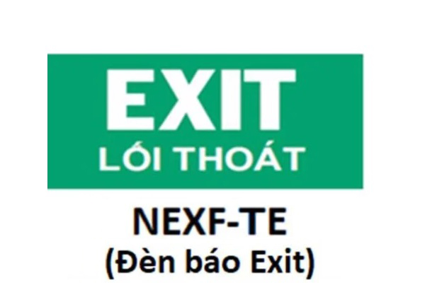 Hình chỉ hướng 1 mặt lối thoát Nanoco NEXF-TE