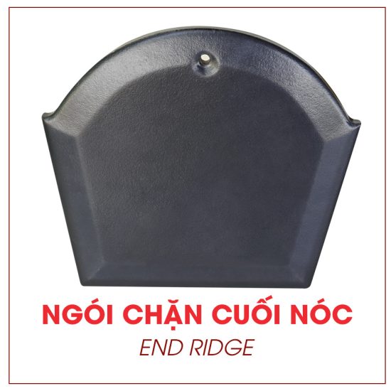 Ngói chặn cuối nóc tráng men cao cấp màu xám xanh Đồng Tâm TITAN002-NCCUOINOC